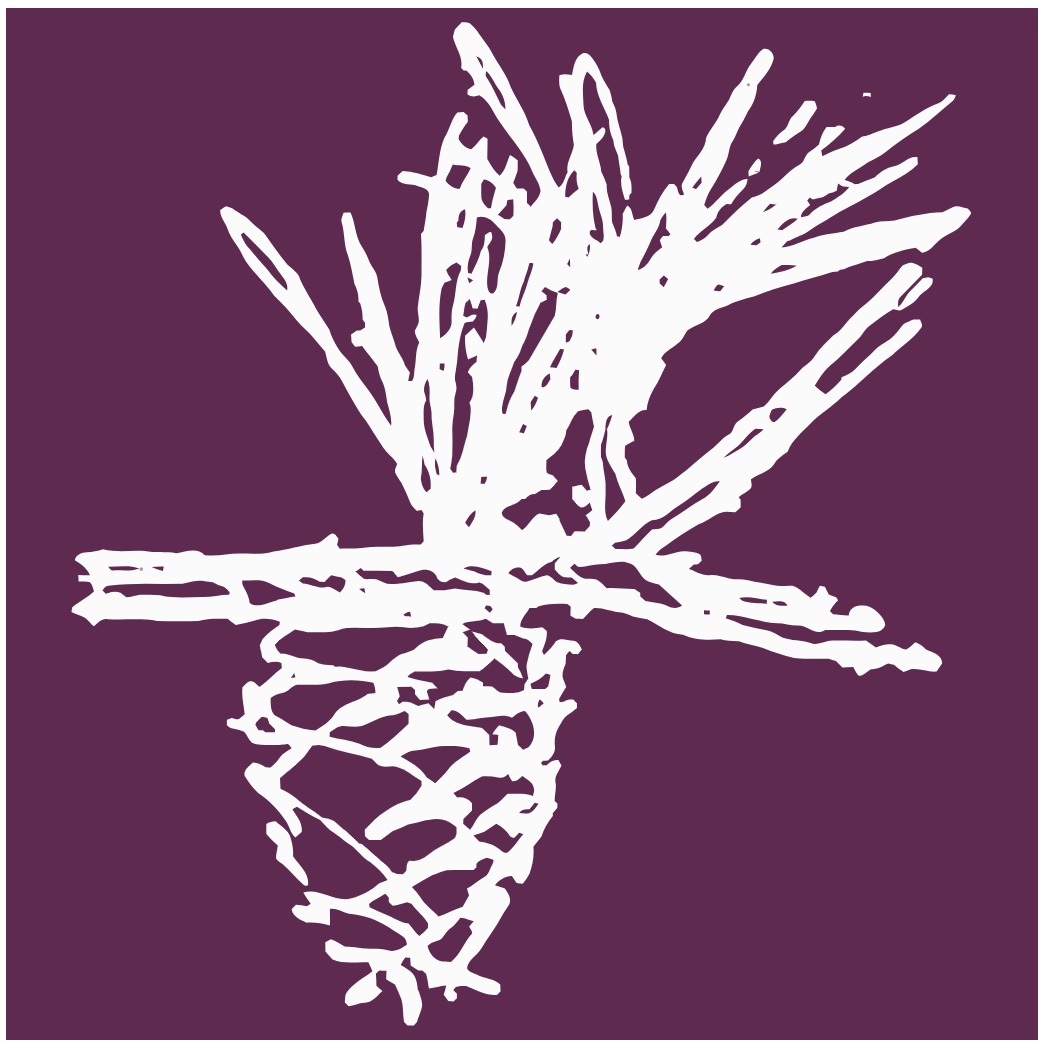 leah pine landscape architect